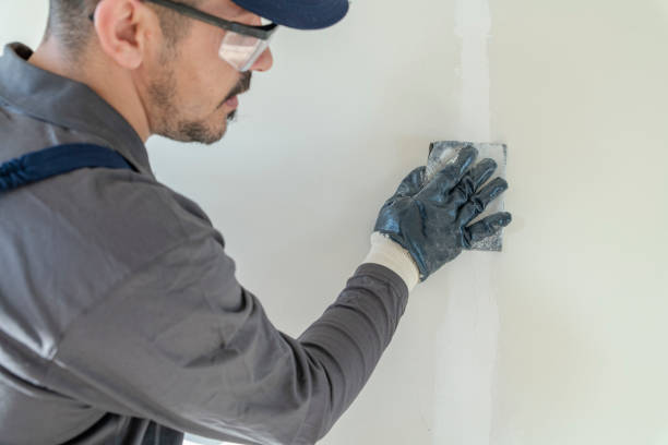 Best Commercial Drywall Repair  in Holyoke, CO